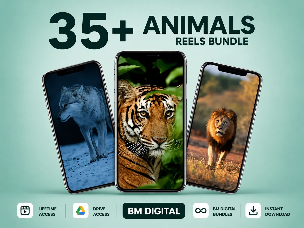 Animal Clips Bundle
